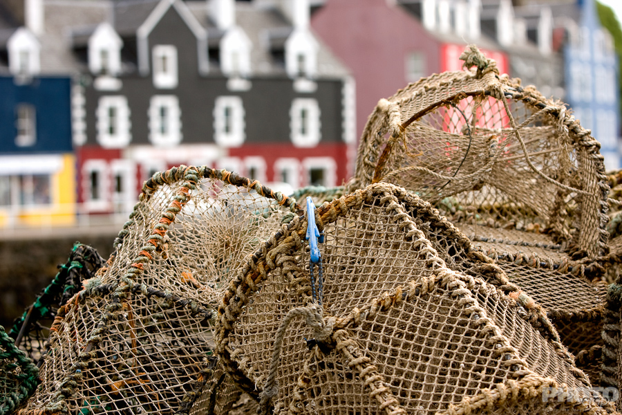 Great Britain: Isle of Mull