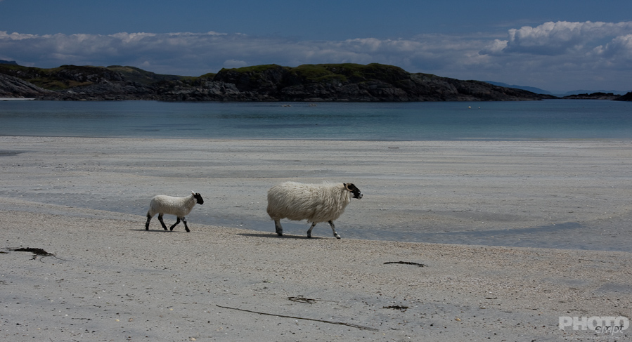 Great Britain: Isle of Mull