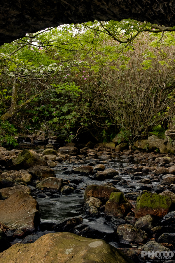 Great Britain: Isle of Mull