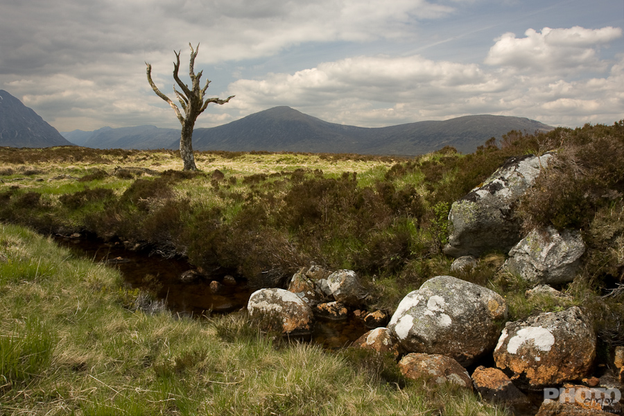 Great Britain: Isle of Mull
