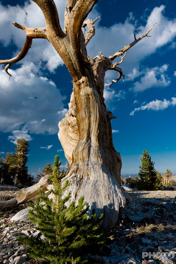 High Sierras, California