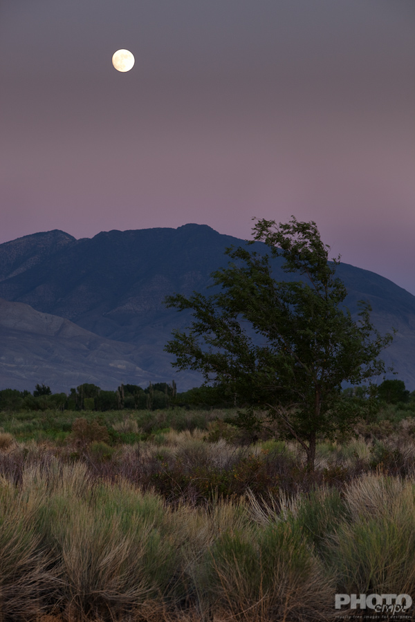 Eastern Sierras, California