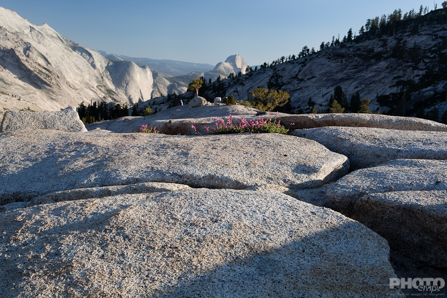 Mono Lake/Yosemite/Bodie